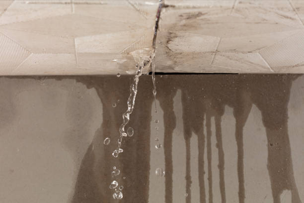 Professional Water Extraction technician working in Lindsay, TX